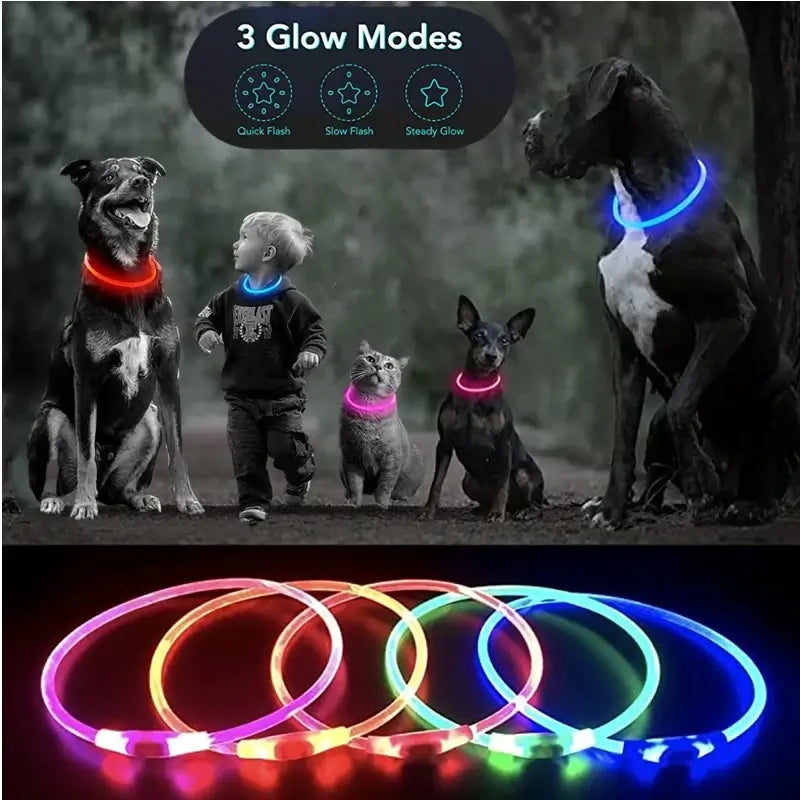 LED dog collar light glowing safety collar with 3 glow modes for dogs and pets, colorful flashing nighttime accessory