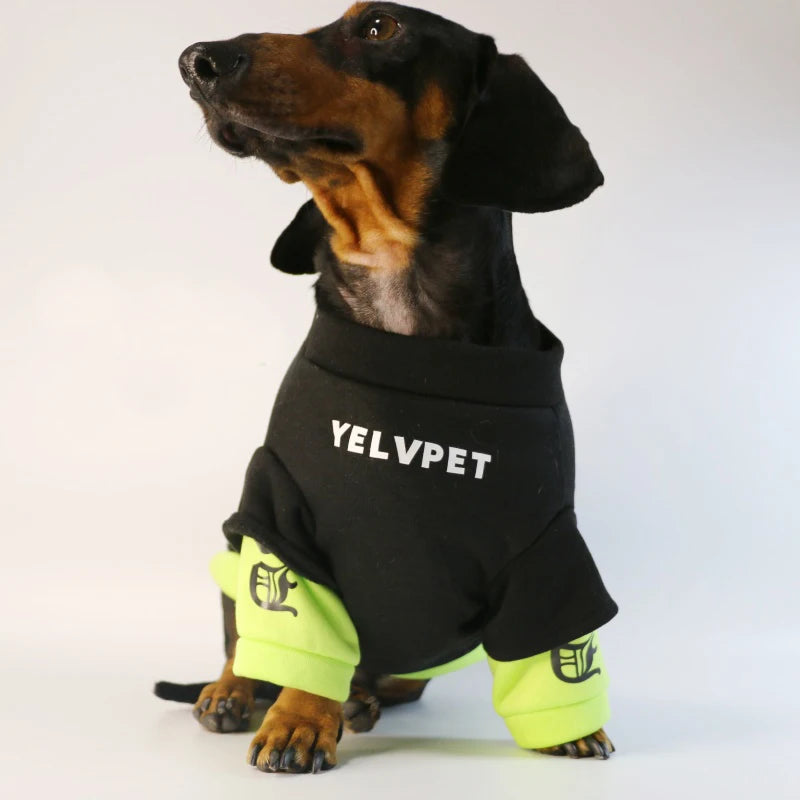 S95d825fb367049019abcbc54eacdba64Z_5ed31a5a-edd0-4410-867d-f10b9fa83e19 - bestdoggylife.shop