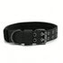 S961195e908934348849dbfcd1e9726a6M - bestdoggylife.shop