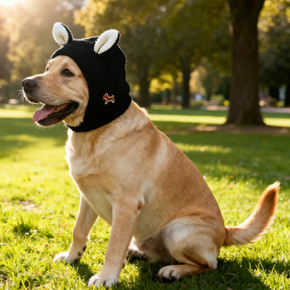 Yellow Labrador dog wearing black knit hat with ear details, sitting on grass in park