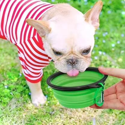 Green collapsible pet travel bowl for dogs and cats, portable silicone water and food bowl for outdoor use