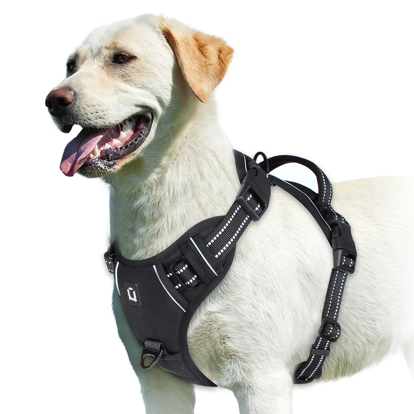 No Pull Dog Harness, Adjustable Soft Padded Pet Vest with Easy Control Handle on a Labrador.