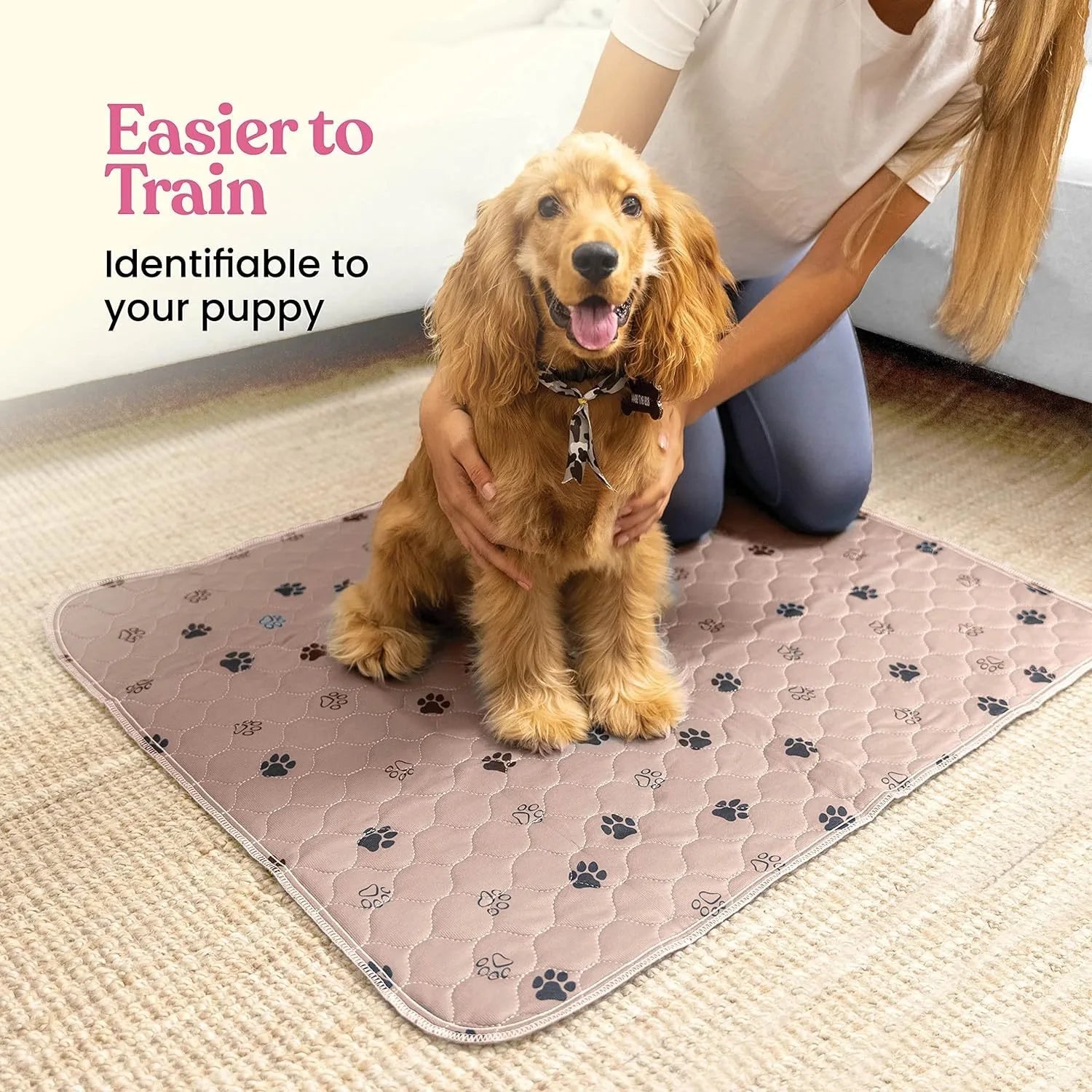 Golden cocker spaniel puppy sitting on a paw print dog training pad with owner indoors.
