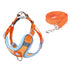 Orange adjustable reflective dog vest harness with cat and dog design, buckle vest harness and matching leash, XS-XL