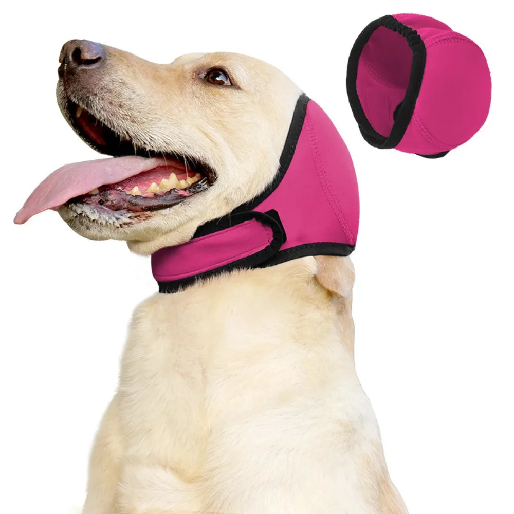 Yellow dog wearing pink dog ear protection headwrap with Velcro closure