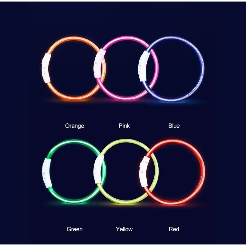 LED dog collar in multiple colors for small, medium, and large dogs, USB rechargeable for night safety and visibility