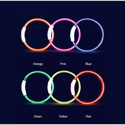 LED dog collar in multiple colors for small, medium, and large dogs, USB rechargeable for night safety and visibility