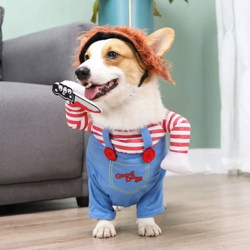 Corgi wearing a funny striped dog costume with wig and toy knife indoors