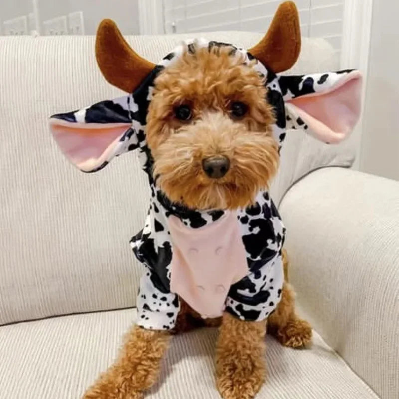 S9ab0b250c70d4e1a9715b9d005d674c2d_f9896b82-a6a2-4cf2-92dd-3c6cc2a0aeed - bestdoggylife.shop