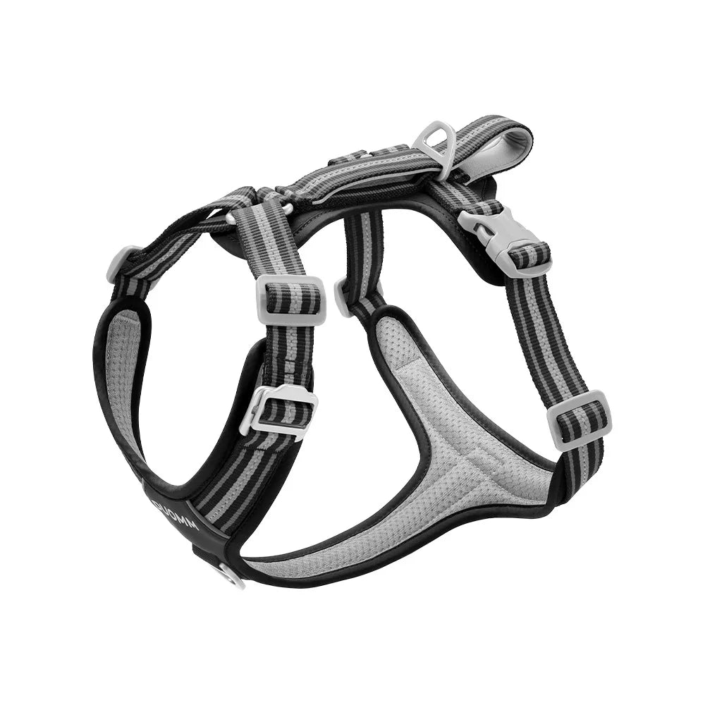 S9b4bbb5161674a5c82cb31c13d6b4c1c6 - bestdoggylife.shop