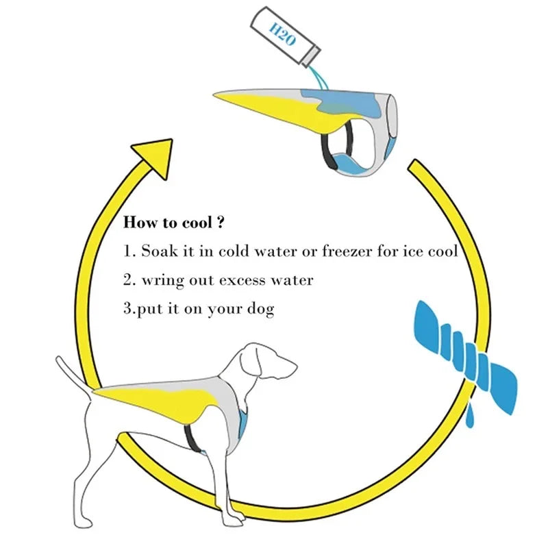 dog life jacket cooling guide showing how to soak, wring, and fit a reflective swim vest for dogs