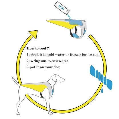 dog life jacket cooling guide showing how to soak, wring, and fit a reflective swim vest for dogs