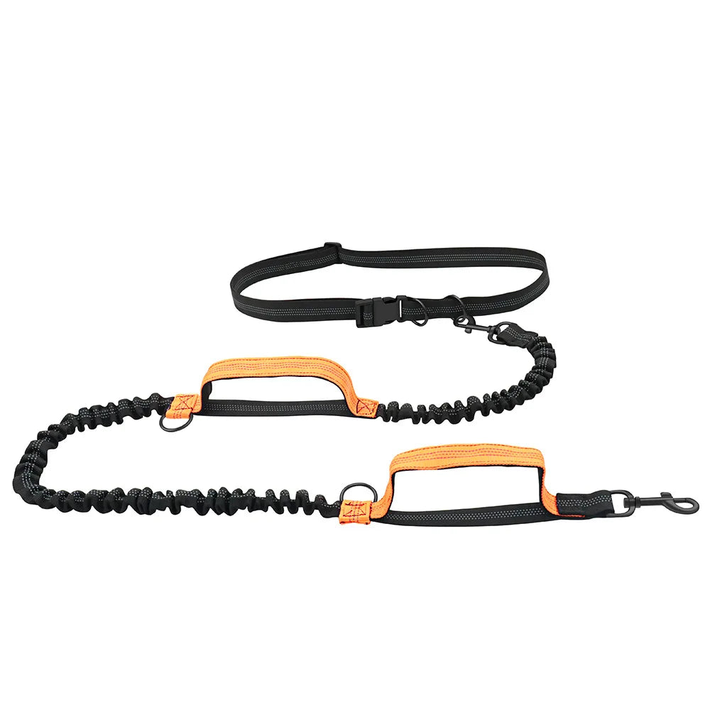 Retractable Hands Free Dog Leash For Running Double Handles Elastic Cord Reflective Large Dog Leash Pet Supplies