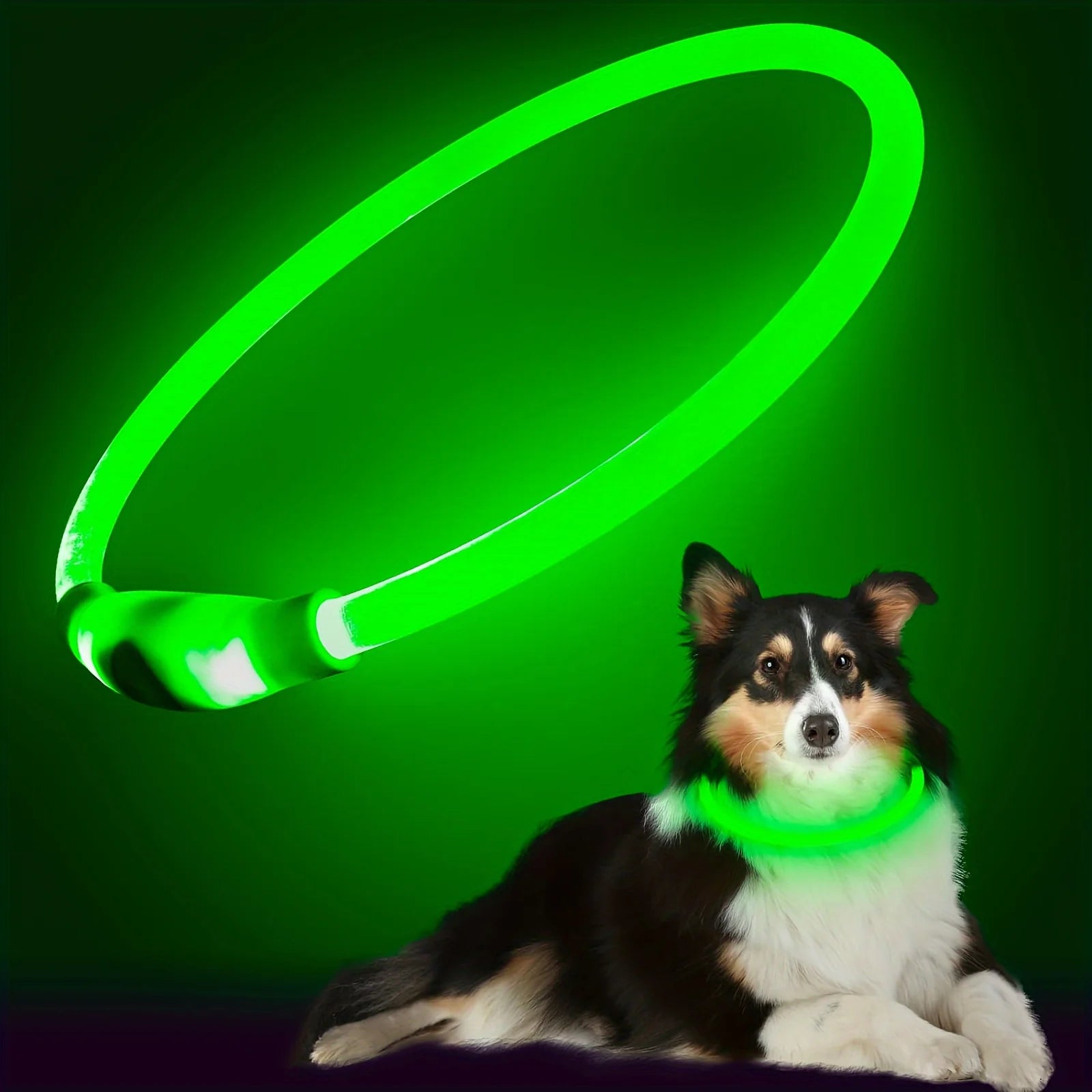 S9da83c211c1940fc8c537e71f87c37b9N_83e7cfbb-e46a-4323-a450-4334bde20f7a - bestdoggylife.shop