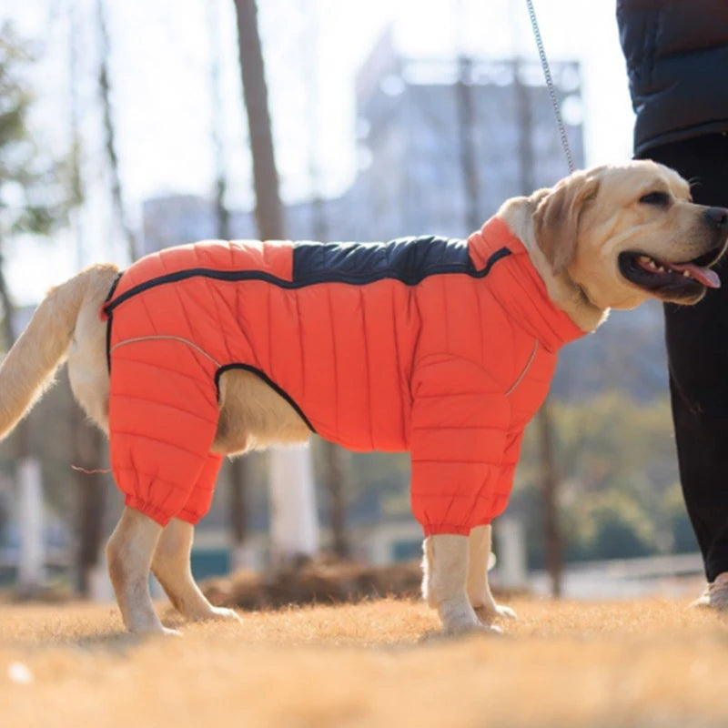 S9e6a01f5e73342b4aa33aab3f58d52125_2a93c1df-0b10-4ef7-a3f9-23e5dd9d8a20 - bestdoggylife.shop