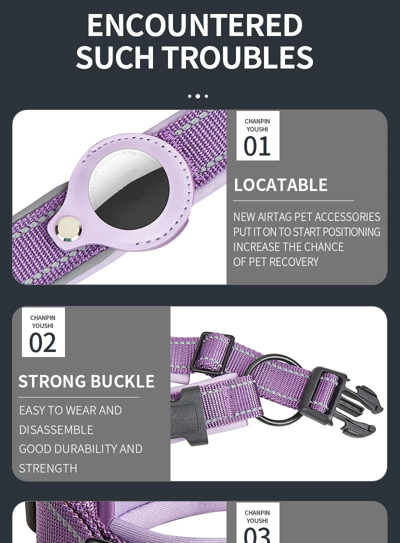 Purple dog collar with AirTag holder and durable plastic buckle, ideal for pet tracking and safety.
