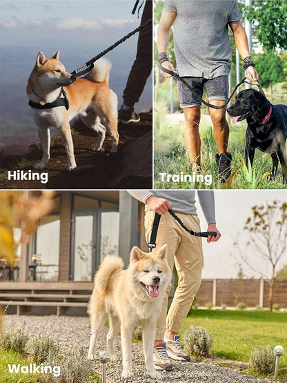 adjustable military dog leash for hiking, training, and walking medium and small dogs with quick release handle