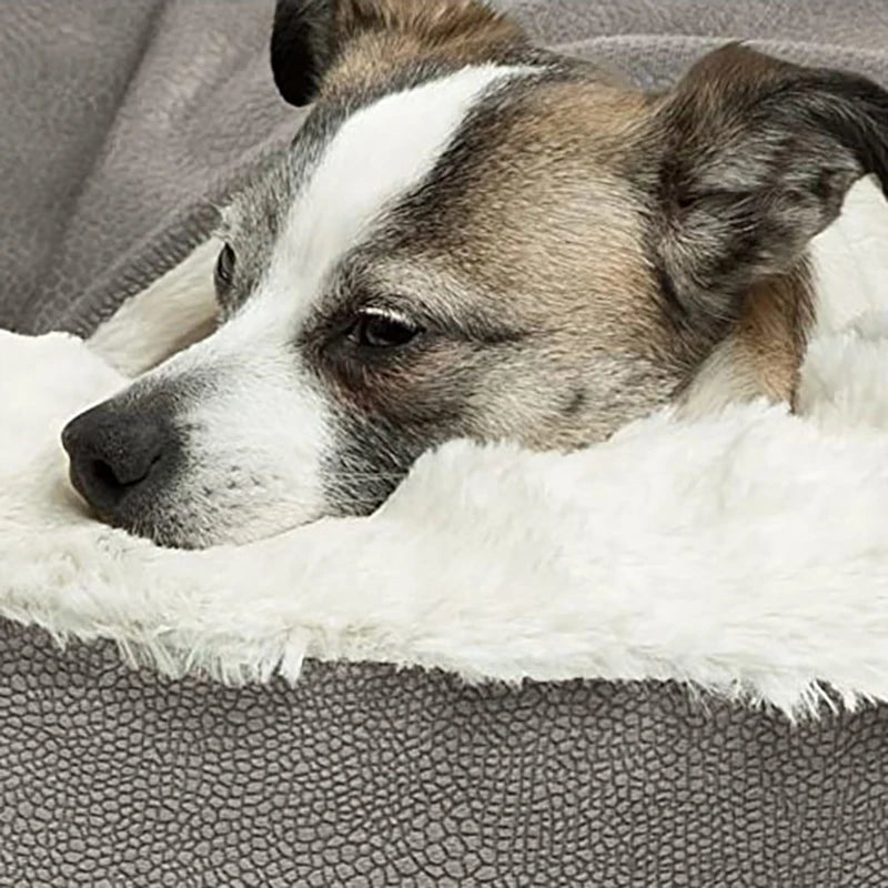 orthopedic dog bed for small dogs and cats, soft warm indoor pet sofa with cushioned comfort for winter