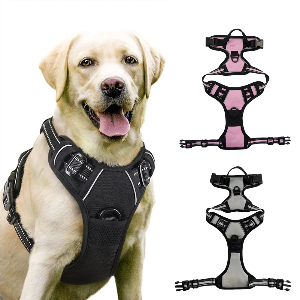 S9ea47caf30f74a5baa07813441ec5d9aM - bestdoggylife.shop