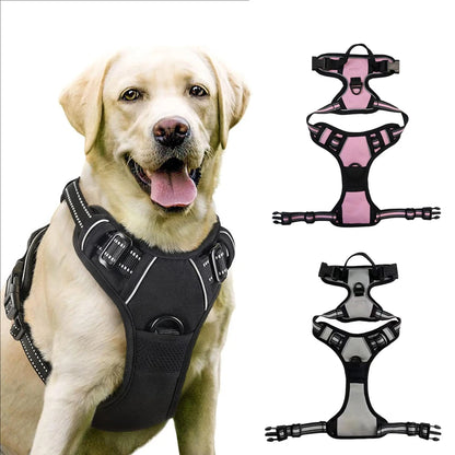 S9ea47caf30f74a5baa07813441ec5d9aM - bestdoggylife.shop