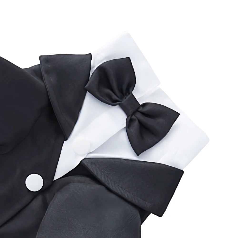 Black and white dog tuxedo costume with bow tie and formal collar