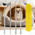 stainless steel pet tartar cleaning kit, 4PCS B, reusable dental tools for dogs and cats, with yellow case