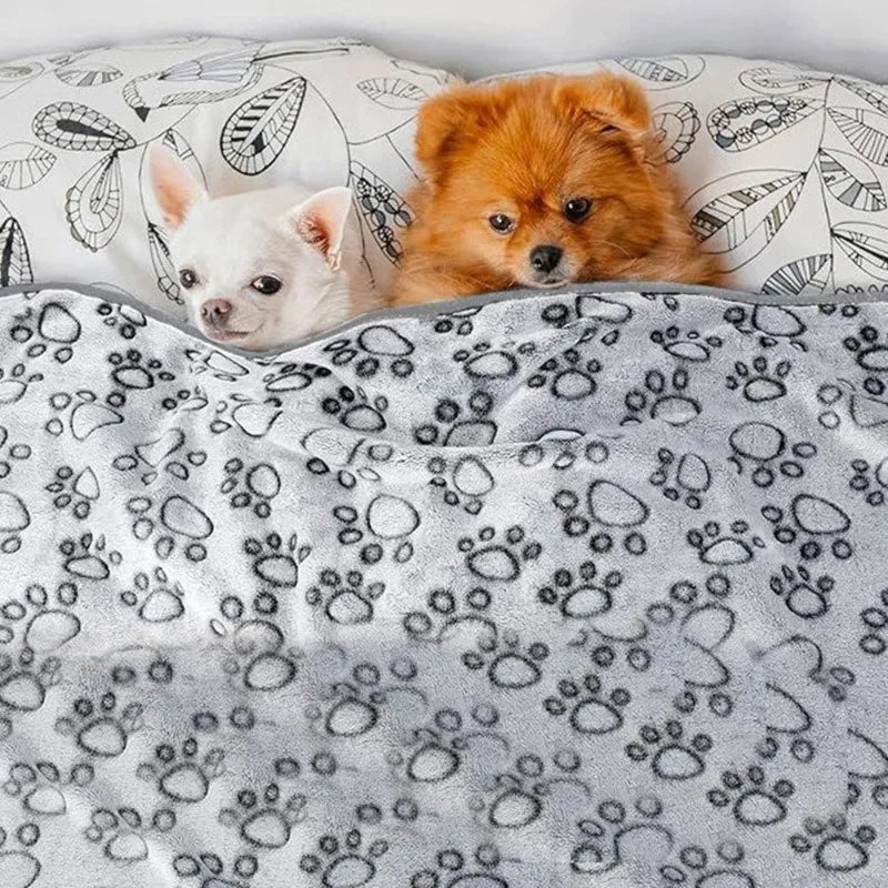 washable soft dog blanket for small pets, grey fleece paw print bed blanket for indoor cats and dogs