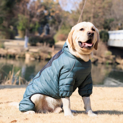 Labrador retriever wearing a teal dog winter jacket outdoors near a pond