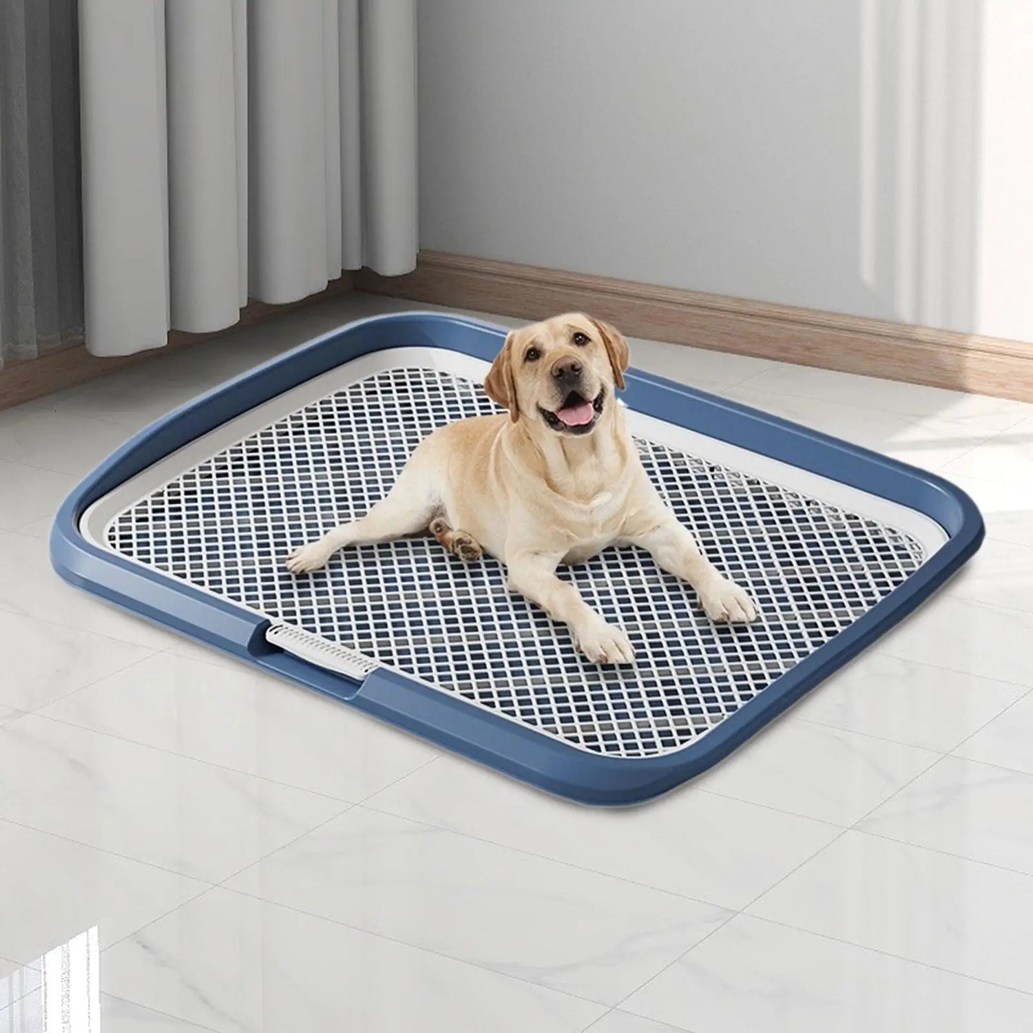 Dog Potty Training Toilet Portable AntiSlip Keep Paw Dry Training Pad for Apartment Dormitory Small Medium Dogs Home Living Room