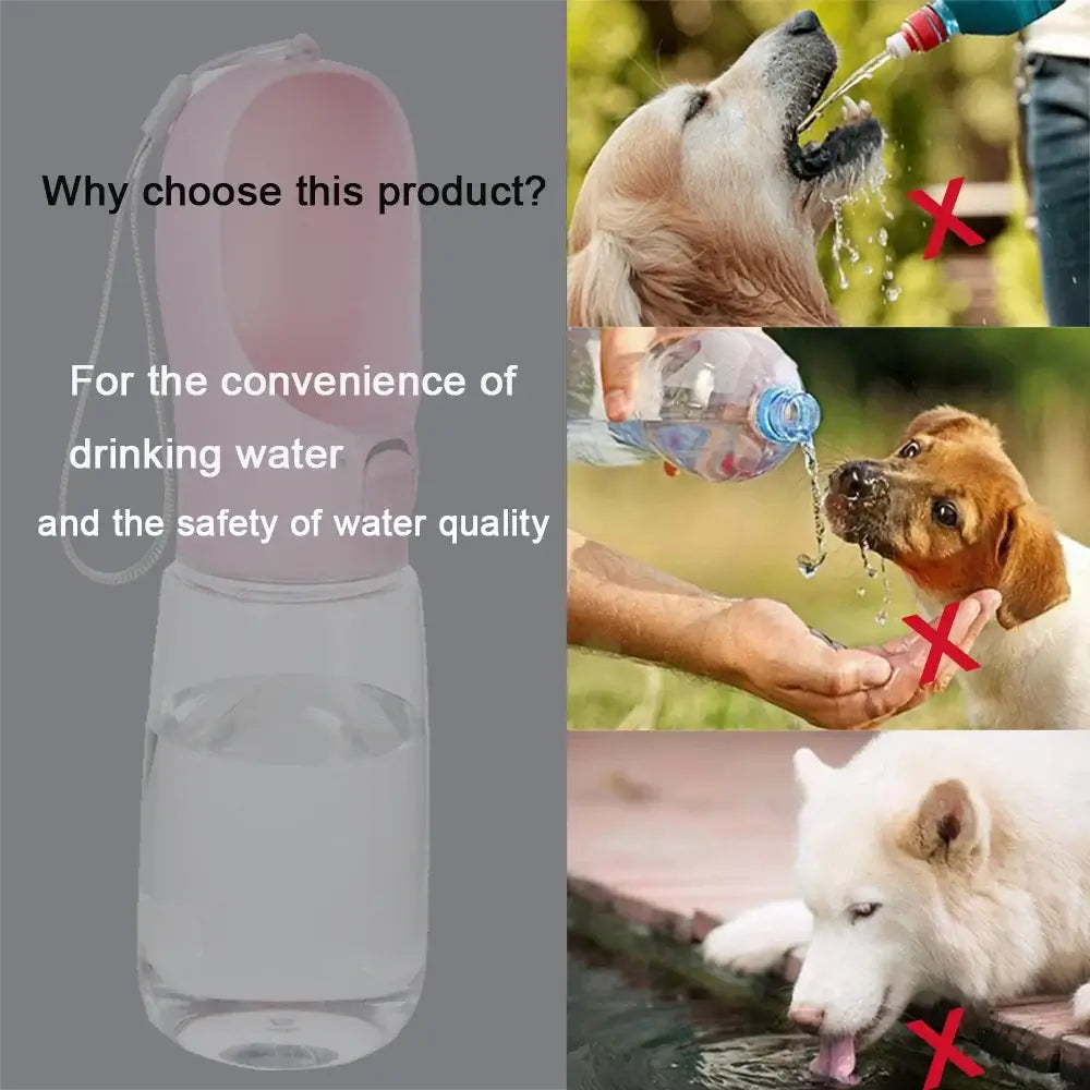 Leakproof dog water bottle for safe outdoor travel drinking, with water feeder bowl for dogs and cats