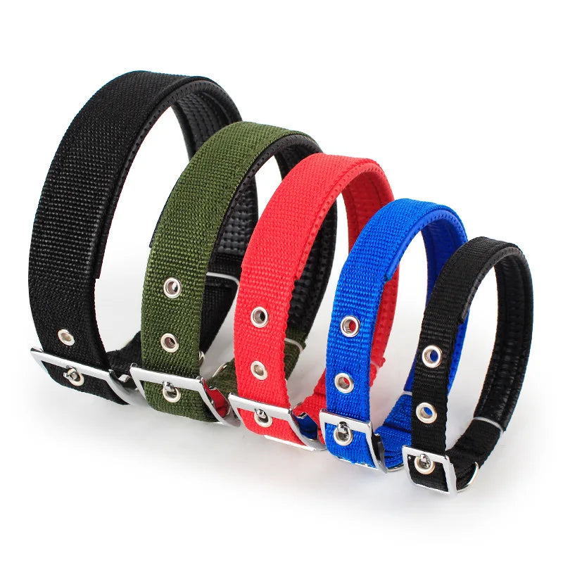 Sa42100cab60c4e8a8a776c218e5d8af5Q - bestdoggylife.shop