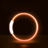 Orange LED dog collar, USB rechargeable glowing collar for small to large dogs, night safety anti-lost pet accessory