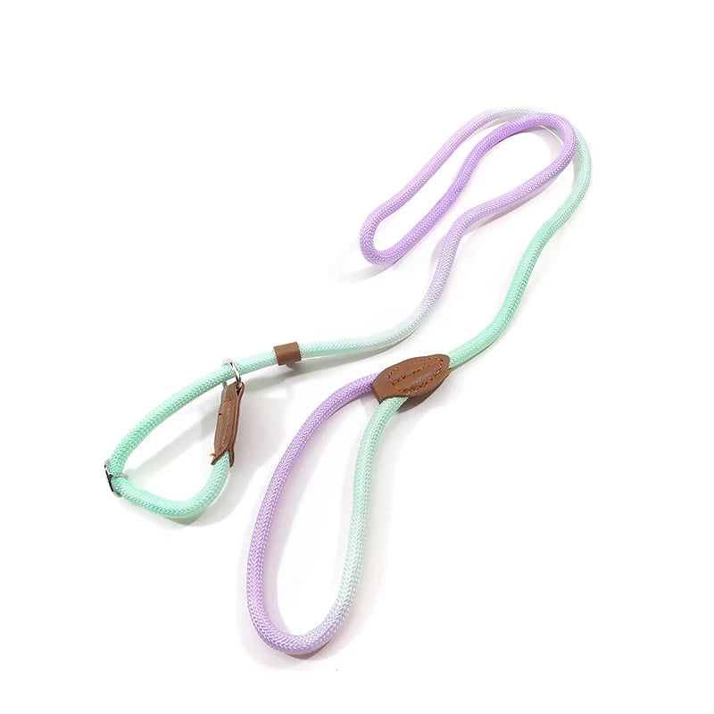 Sa47c94609b244a12965fe6b9971380a19 - bestdoggylife.shop