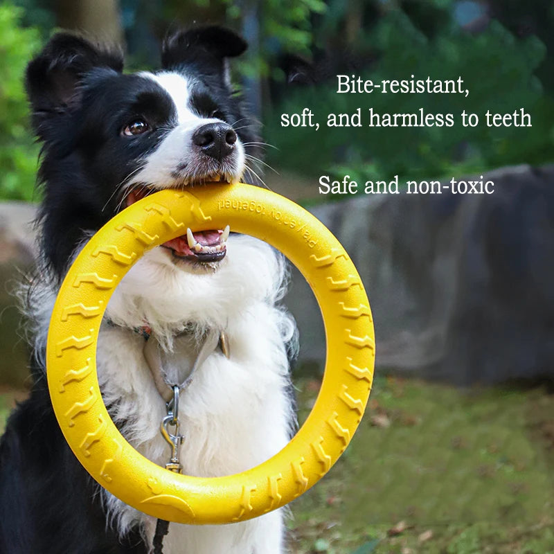 Durable dog toys chew-proof set featuring a black and white dog holding a soft, non-toxic yellow flying disc.