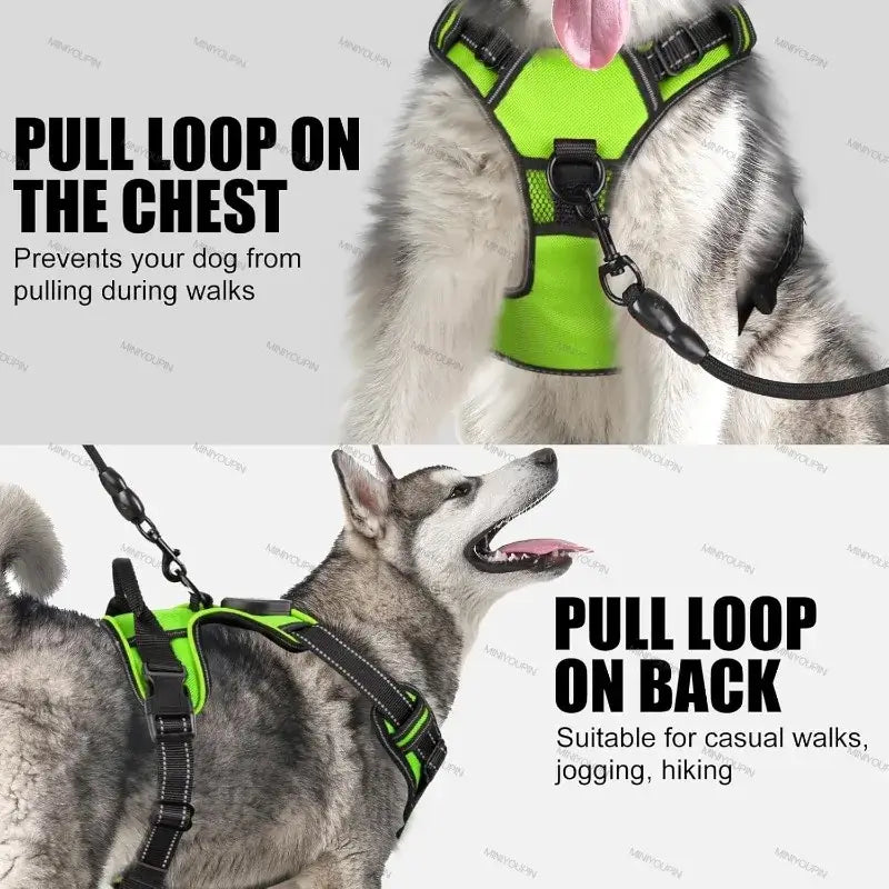 LED dog harness for night walking with pull loop on chest and back, reflective vest harness for safe dog walks