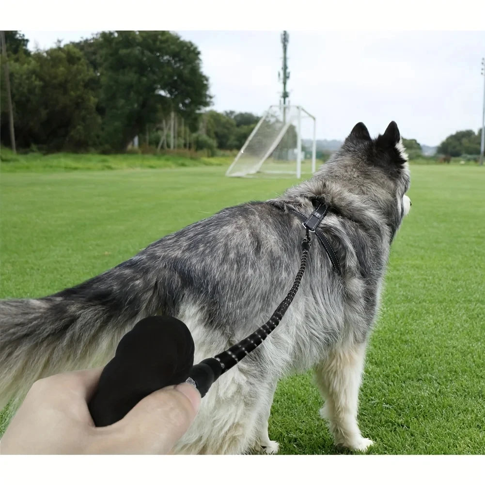 Sa603bc89b4344034afb31a6b0b129e1c2 - bestdoggylife.shop