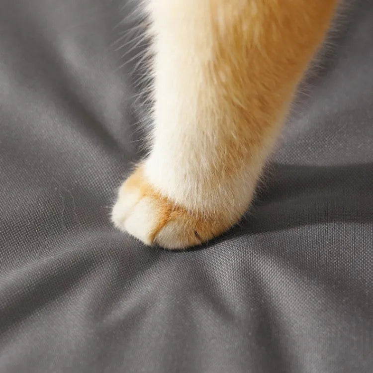 Waterproof washable dog bed with anti-slip Oxford fabric, shown with pet paw on durable removable cushion