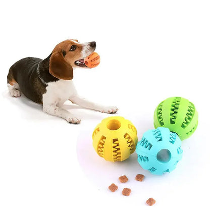 Beagle playing with nontoxic dog chew toy ball and treat feeder balls for tooth cleaning and interactive chewing