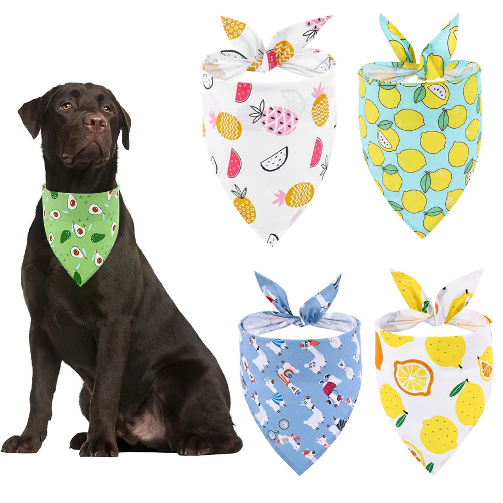 Dog wearing green avocado print bandana, with four colorful fruit and animal print dog bandanas displayed