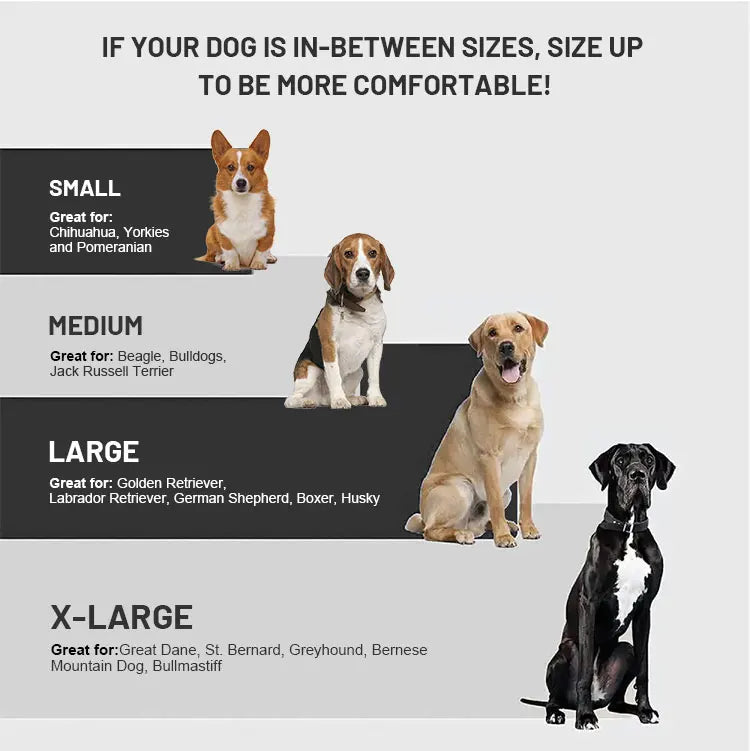 Sa974a373312b458e899946694310cb81T - bestdoggylife.shop