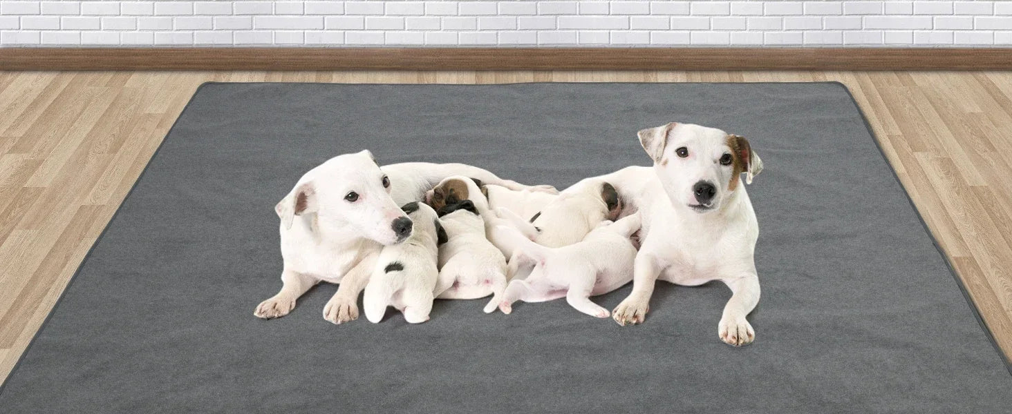 washable dog pee pad with puppies on a large gray waterproof non-slip floor mat for training and playpen use