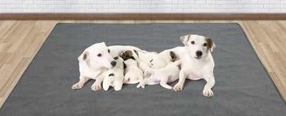 washable dog pee pad with puppies on a large gray waterproof non-slip floor mat for training and playpen use
