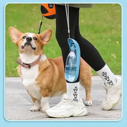 Portable dog water bottle for outdoor walking with small dog, foldable lightweight drinking bowl for travel and running.