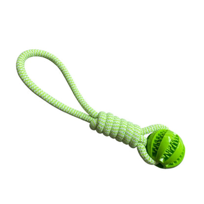 Saac9541b932e498b96a2e5eda8a454adR_0aa78307-c233-4038-b2ca-be9f71a709db - bestdoggylife.shop