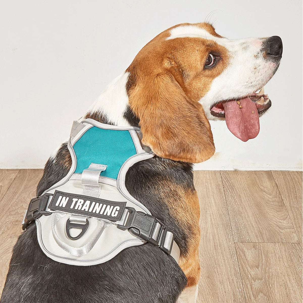 Sab1e678b4a3a4a5987000b913ba8d436a - bestdoggylife.shop
