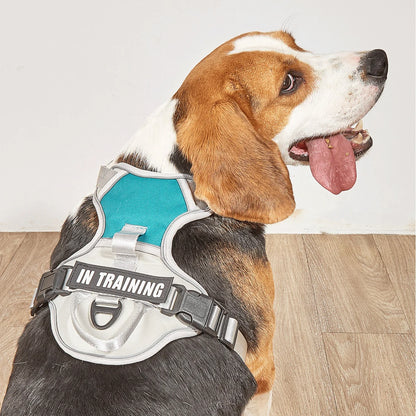 Sab1e678b4a3a4a5987000b913ba8d436a - bestdoggylife.shop