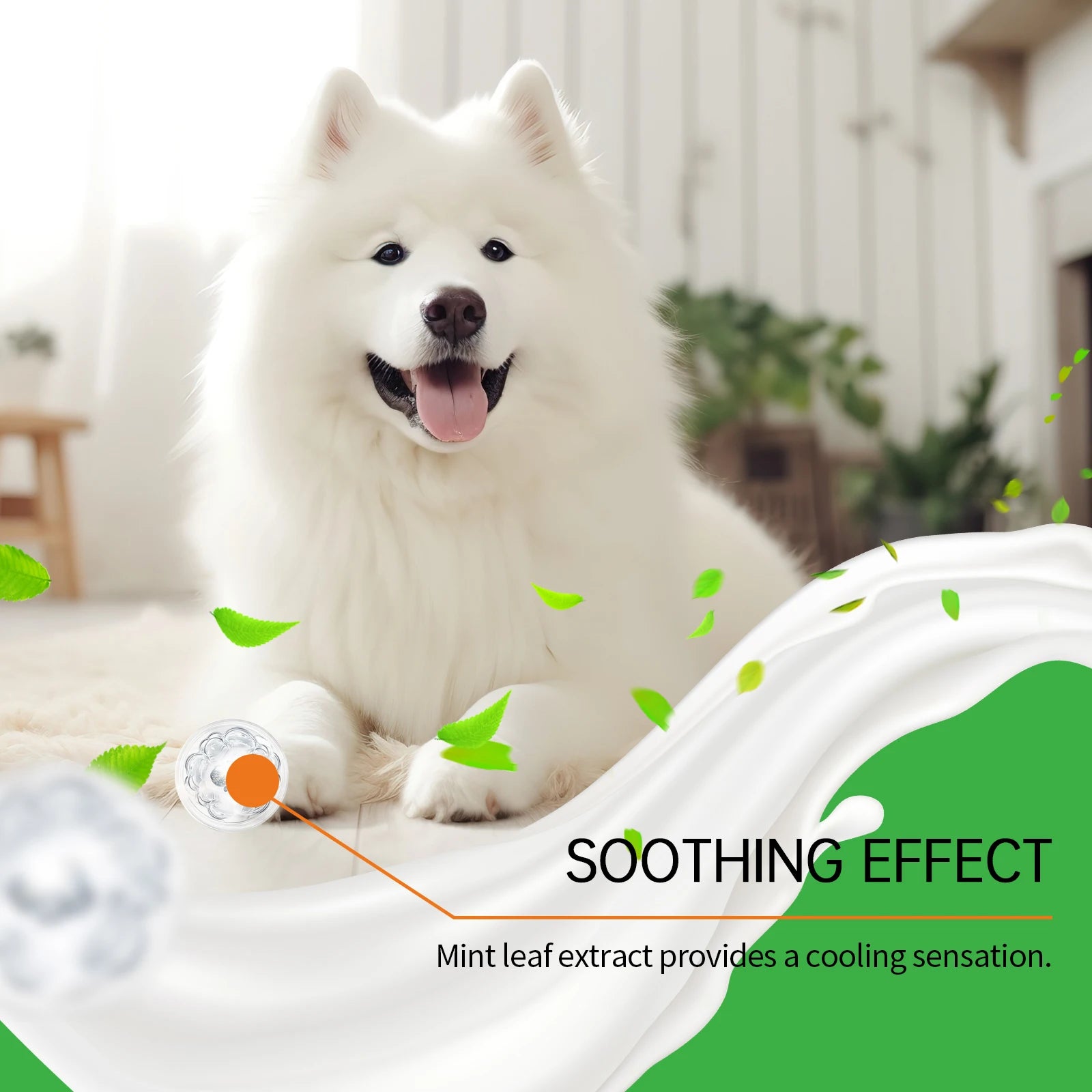 Sab33397ce1274c279ec76977eb0784f7i_351c9357-8bdc-4a14-9544-8187845ad0df - bestdoggylife.shop
