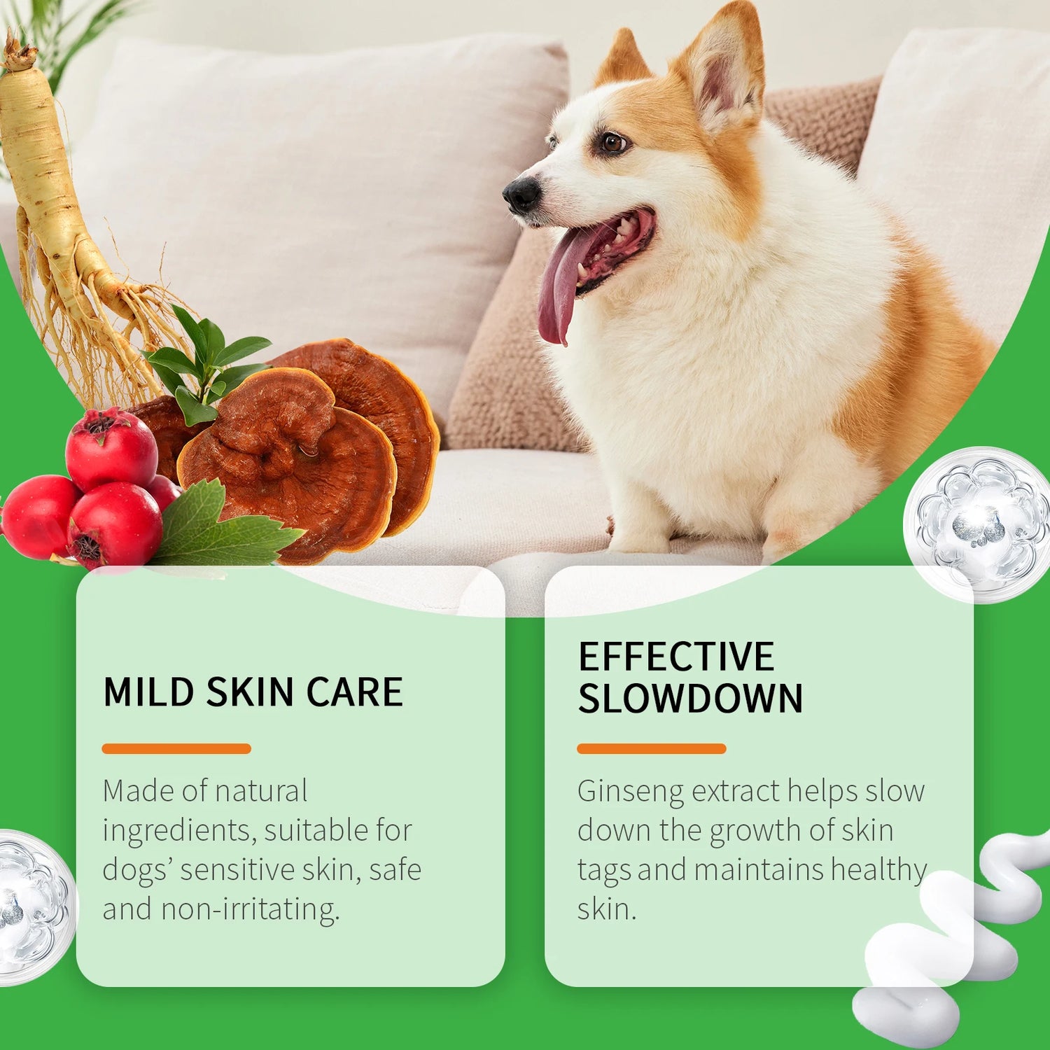 Corgi dog on couch with natural dog skin care ingredients like ginseng and mushrooms, product benefits displayed.