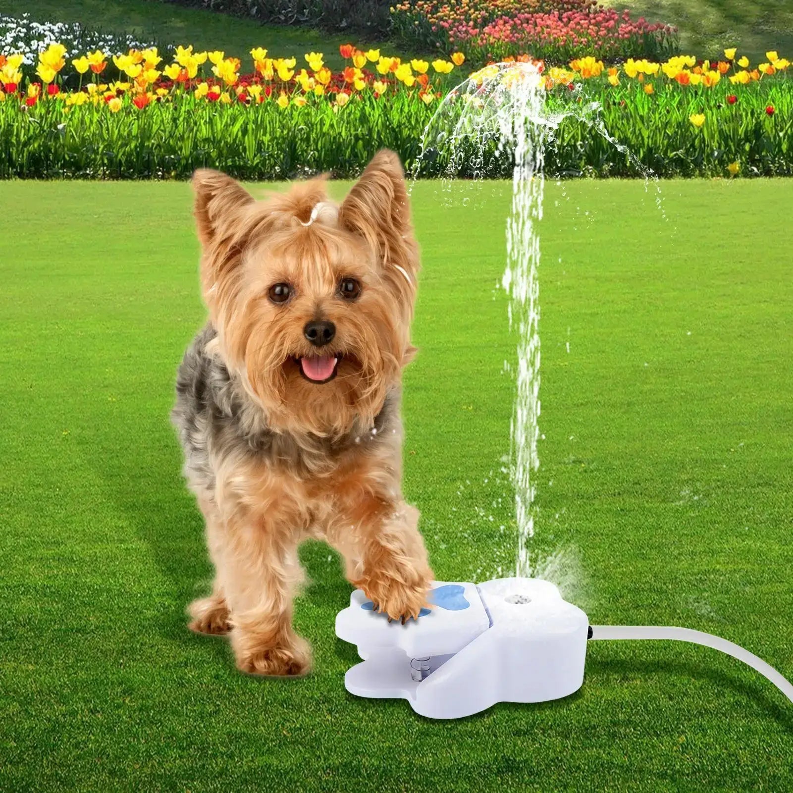 Paw Activated Dog Water Fountain Step on Outdoor Pet Drinking Dispenser Pet Dogs Puppy Water Sprinkler Toys for Garden Yard