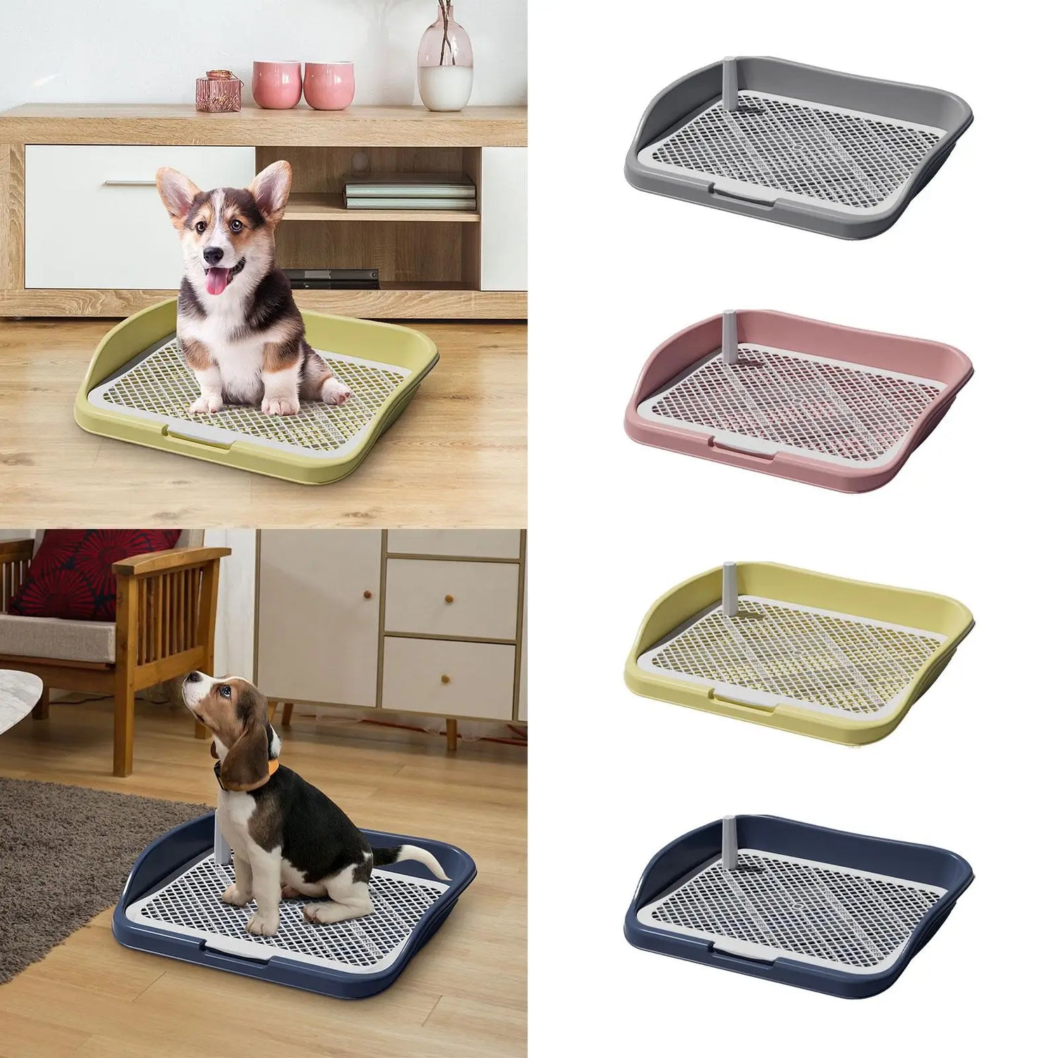 Indoor dog potty trays in multiple colors with small dogs sitting on them in home settings.